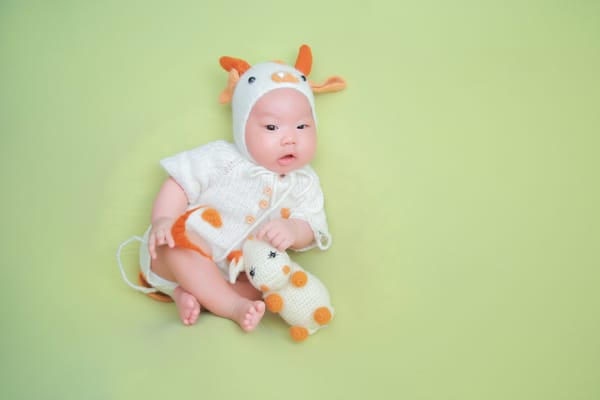 ubuntu 22.04安装ibus中文输入法